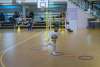 20241214_3675.jpg  74 Ko